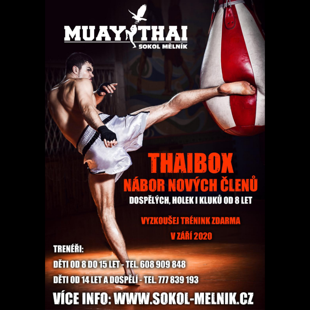 IG_Muay_thai_Sokol_Melnik_2_ctverec